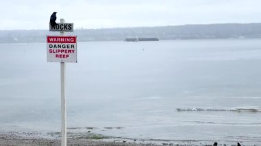 View of warning sign Danger, Slippery Reef on Second Beach in Stanley Park on rainy day