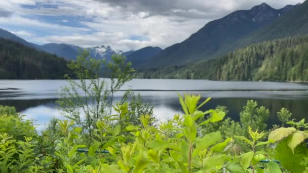 Scenic View Cleveland Dam Reservoir Surrounded Mountains Sunset North Vancouver — Stock Video