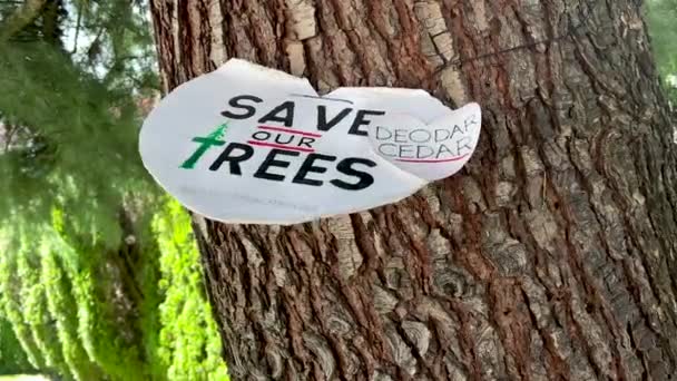 View Sign Attached Tree Text Our Trees — Vídeo de stock