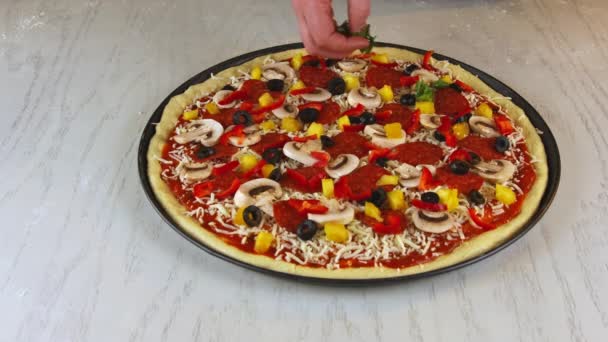 シェフ置くオリーブ上の生の調理されていないピザ. — ストック動画