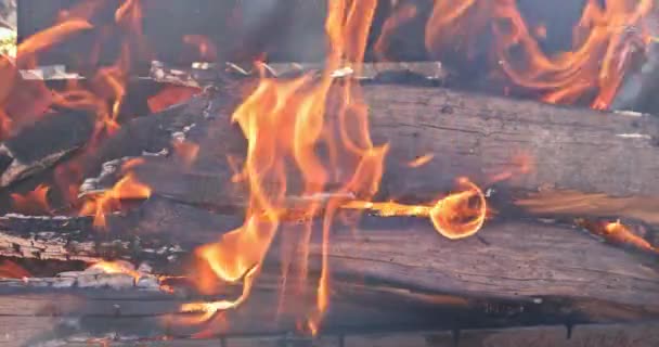 Metalen rooster met brandend houtblok. — Stockvideo