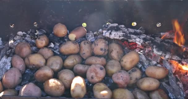 Potatisspett på brinnande kolgrill. — Stockvideo