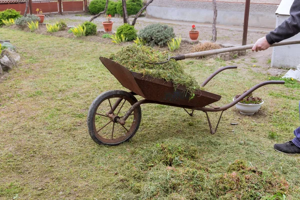 Homem coletando gramado cortado no carrinho de jardim para compostagem. — Fotografia de Stock
