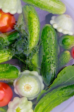 Sebze, salatalık, kabak ve domates turşusu yapmak için yıkanmalıdır..