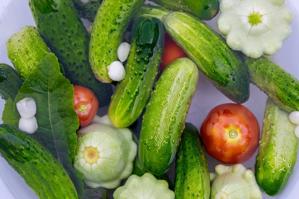 Garden Vegetables Tomatoes Cucumbers Picked Fresh Salads — Stock Photo, Image