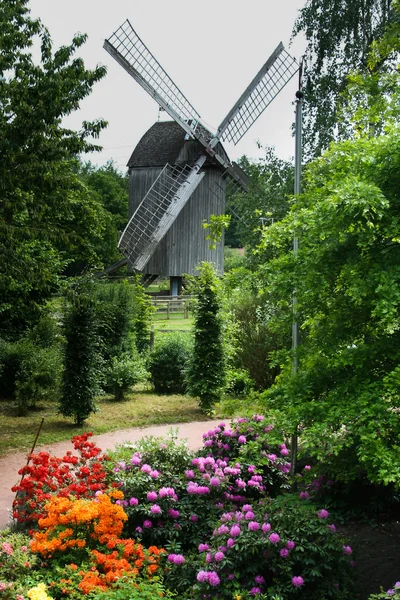 Moinho de vento histórico Cloppenburg — Fotografia de Stock