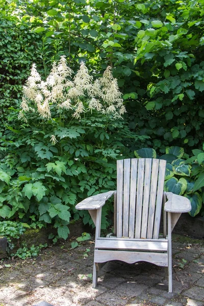 Relax chair in the garden