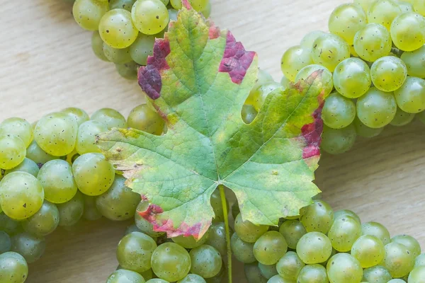 Ripe grapes lying in a circle — Stock Photo, Image