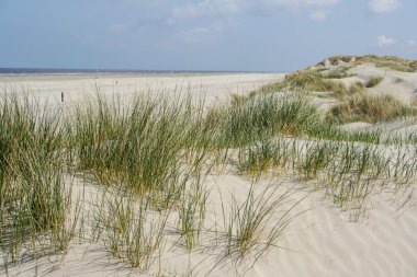 holland kıyıları, kumulları