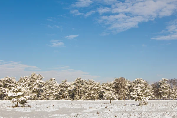 Paisaje de nieve de invierno en Holanda —  Fotos de Stock