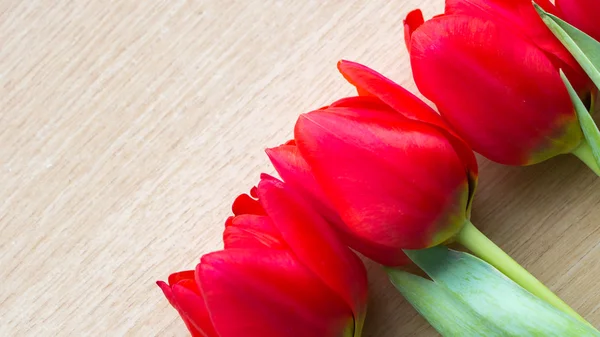 Červené tulipány uspořádání — Stock fotografie