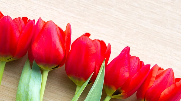 Röda tulpaner arrangemang — Stockfoto
