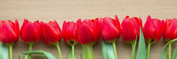 Arranjo tulipas vermelhas — Fotografia de Stock