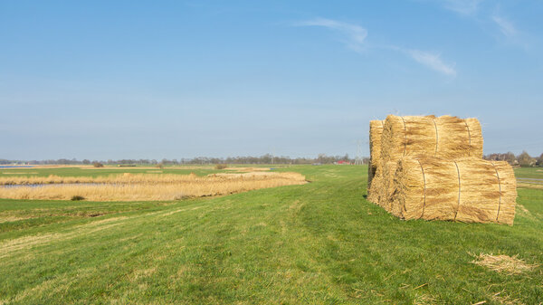Landscape with thatch sheaf on the farmland