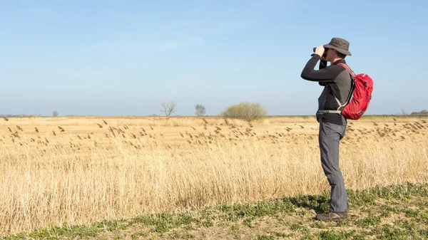 Mužské tramp zobrazování ptáků v mokřadní — Stock fotografie