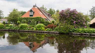 blokzijl hol bir thatched çatı ile güzel bir geleneksel ev