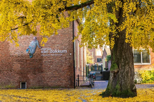 Muzeum v Harderwijku, Nizozemsko — Stock fotografie