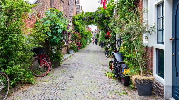 Stedelijke vergroening in Alkmaar, Nederland — Stockfoto