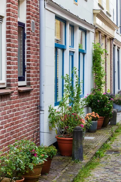 Városi kizöldítés Alkmaar, Hollandia — Stock Fotó