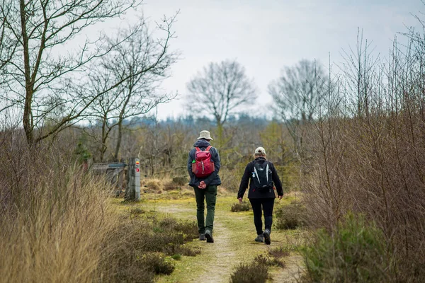 Hiking along Nature park in The Netherlands — Stock Photo, Image