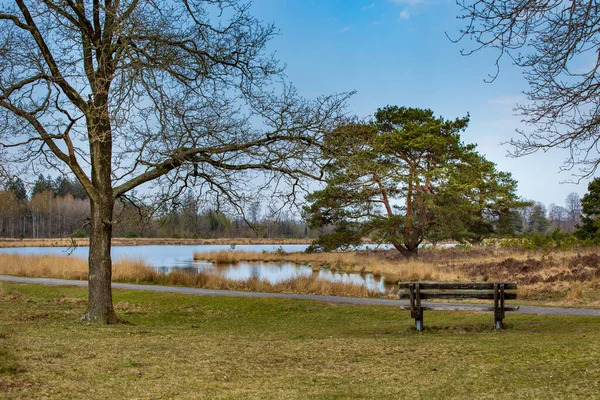 네덜란드에 있는 자연 공원의 랜스 스케이프 — 스톡 사진