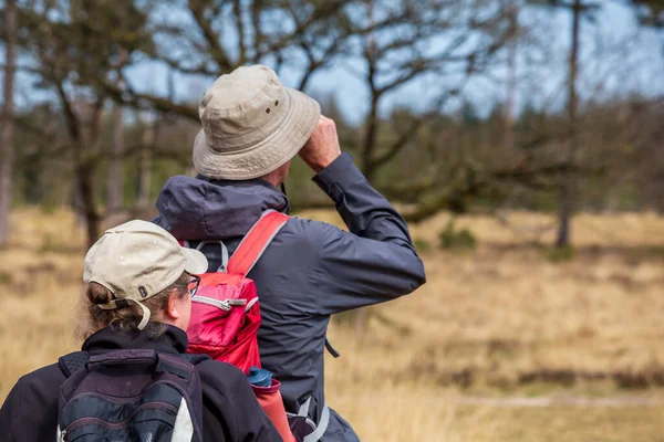 Bird watching in nature park in The Netherlands — Stock Photo, Image