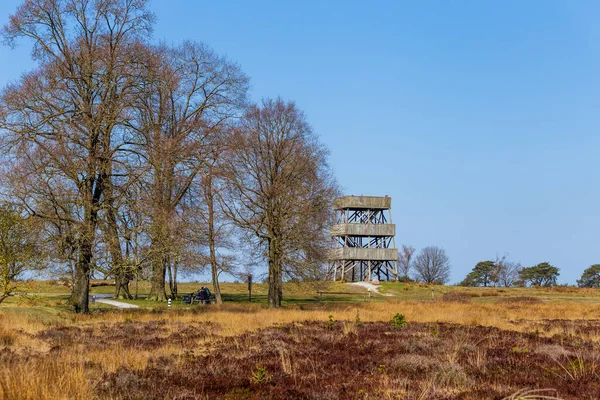 Lasndscape přírodního parku v Nizozemsku — Stock fotografie