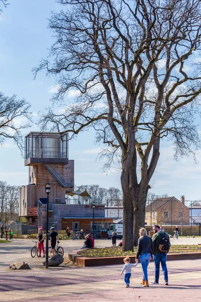 Landschaft des Naturparks in den Niederlanden — Stockfoto