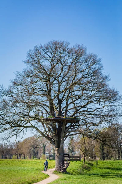Tourist passing a tree paltform — Stock Photo, Image