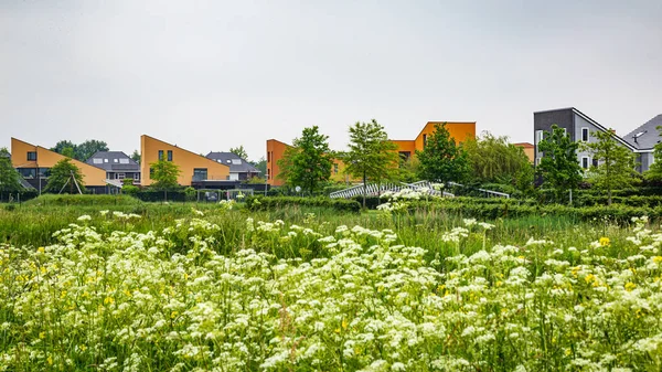Moderne Häuser in Drenthe Niederlande — Stockfoto