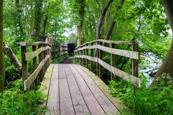 Pont en bois entre les arbres — Photo