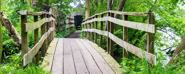 Pont en bois entre les arbres — Photo