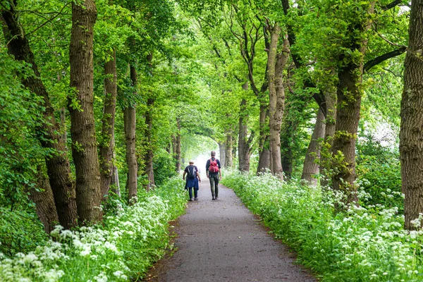 Senior couple walking through Ducth countryside — Stock Photo, Image