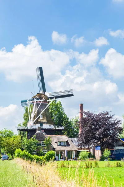 Ducth Windmolen panorama Zuidlaren — Stockfoto