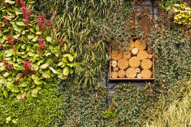 Kuş eviyle dikey bahçe