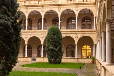 İspanya 'da Murcia Üniversitesi