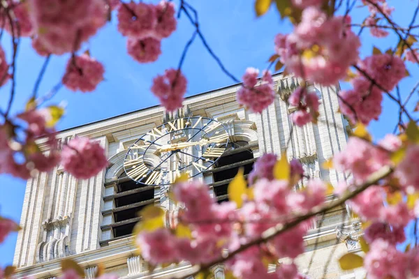 Lugar de peregrinación Scherpenheuvel en Bélgica — Foto de Stock