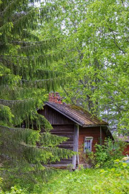 Terk edilmiş Fince küçük ahşap kulübesi kırsal kesimde göl kenarında.