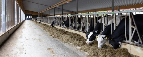 Granja Moderna Norte Sevonia Finlandia — Foto de Stock