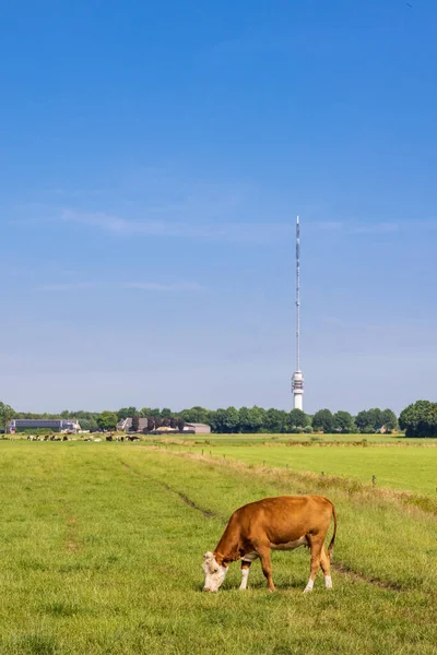 Krajina Vysílací Věží Smilde Nizozemsko — Stock fotografie