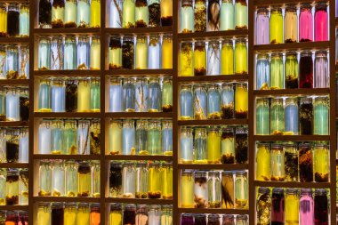 Almere, The Netherlanda - 15 Haziran: Floriade Expo 2022 'de şişelerle dolu bir araştırma evi Almere Amsterdam' da büyüyen yeşil şehirler Hollanda