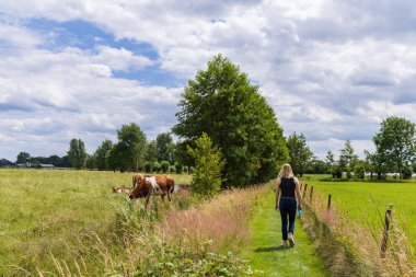 Hollanda 'nın Barneveld Gelderland kentindeki De Glind köyündeki Klompenpaden ya da Wooden tıkanma patikalarından birinde yürüyüş parkuru var...