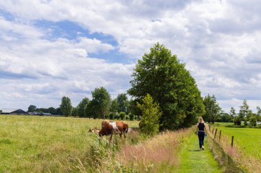 Hollanda 'nın Barneveld Gelderland kentindeki De Glind köyündeki Klompenpaden ya da Wooden tıkanma patikalarından birinde yürüyüş parkuru var...