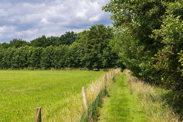 Hiking Trail Glindhorsterpad One Called Klompenpaden Wooden Clog Trails Youth — Stock fotografie