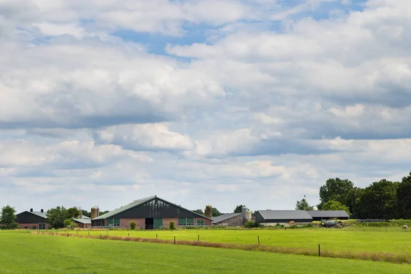 Intensive Farming Barneveld Gelderse Valei Gelderland Netherlands — Stockfoto