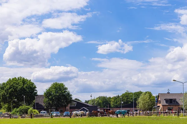 Glind Barneveld Países Bajos Julio 2022 Escuela Equitación Zwanenburg Glind —  Fotos de Stock