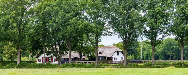 Colorful Farm House Shutters Thatched Roof Glind Barneveld Gelderland Netherlands — Stok fotoğraf