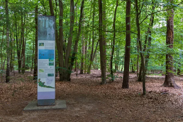 Amerongen Netherlands July 2022 Highest Point Info Pole Forest Amerongse — Stok fotoğraf