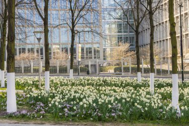 Brussels, Belgium - March 25, 2022: Cathedral of St. Michael and St. Gudula Roman Catholic church on the Treurenberg Hill in Brussels, Belgium.
