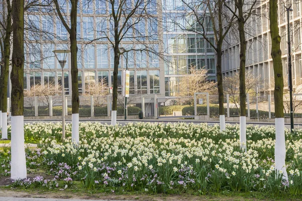 Brussels Belgium March 2022 Cathedral Michael Gudula Roman Catholic Church — Stockfoto